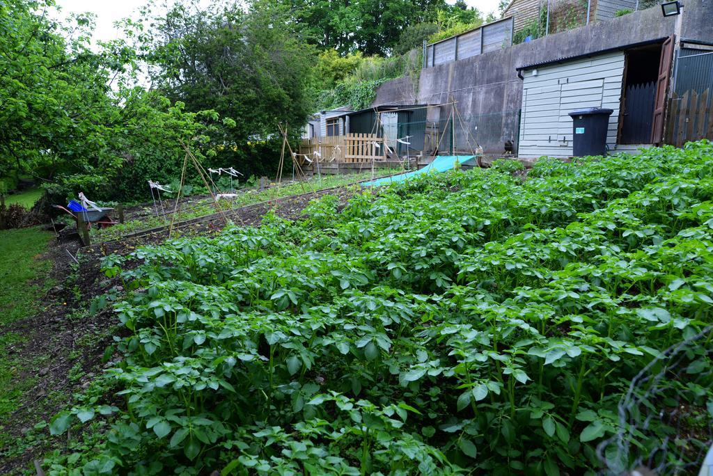 Gabriel House Guesthouse Cork Eksteriør bilde