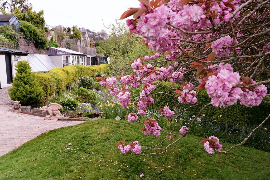 Gabriel House Guesthouse Cork Eksteriør bilde